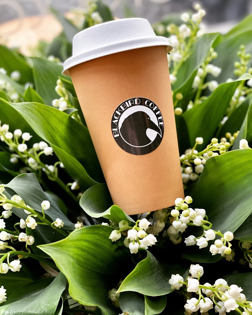 Café à emporter — Blackbird Coffee